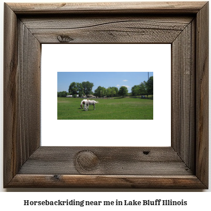 horseback riding near me in Lake Bluff, Illinois